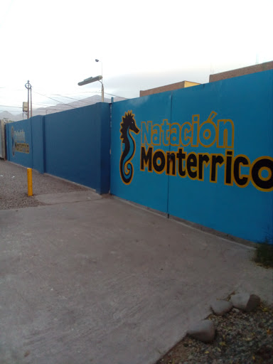 Natación Monterrico