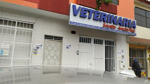 Veterinario