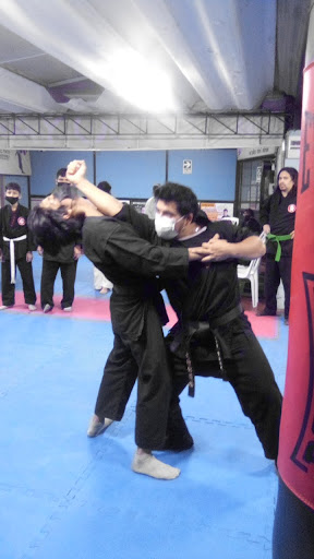 Bujinkan Kannon Dojo