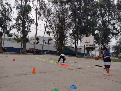 Fifth Center Basketball