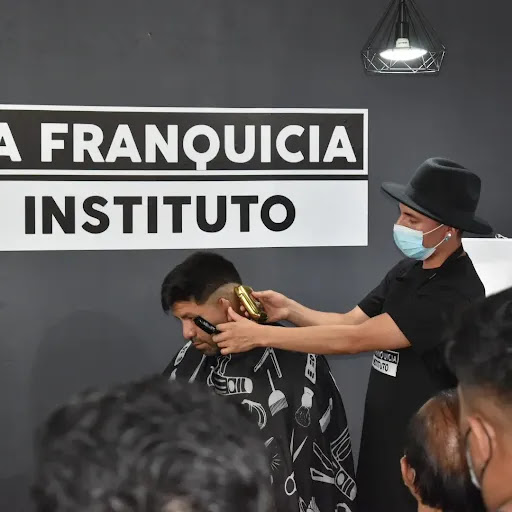 Instituto La Franquicia