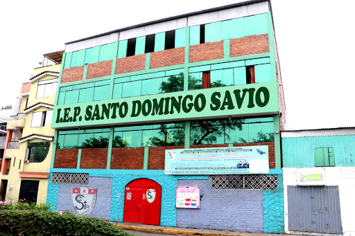 I.E Santo Domingo Savio